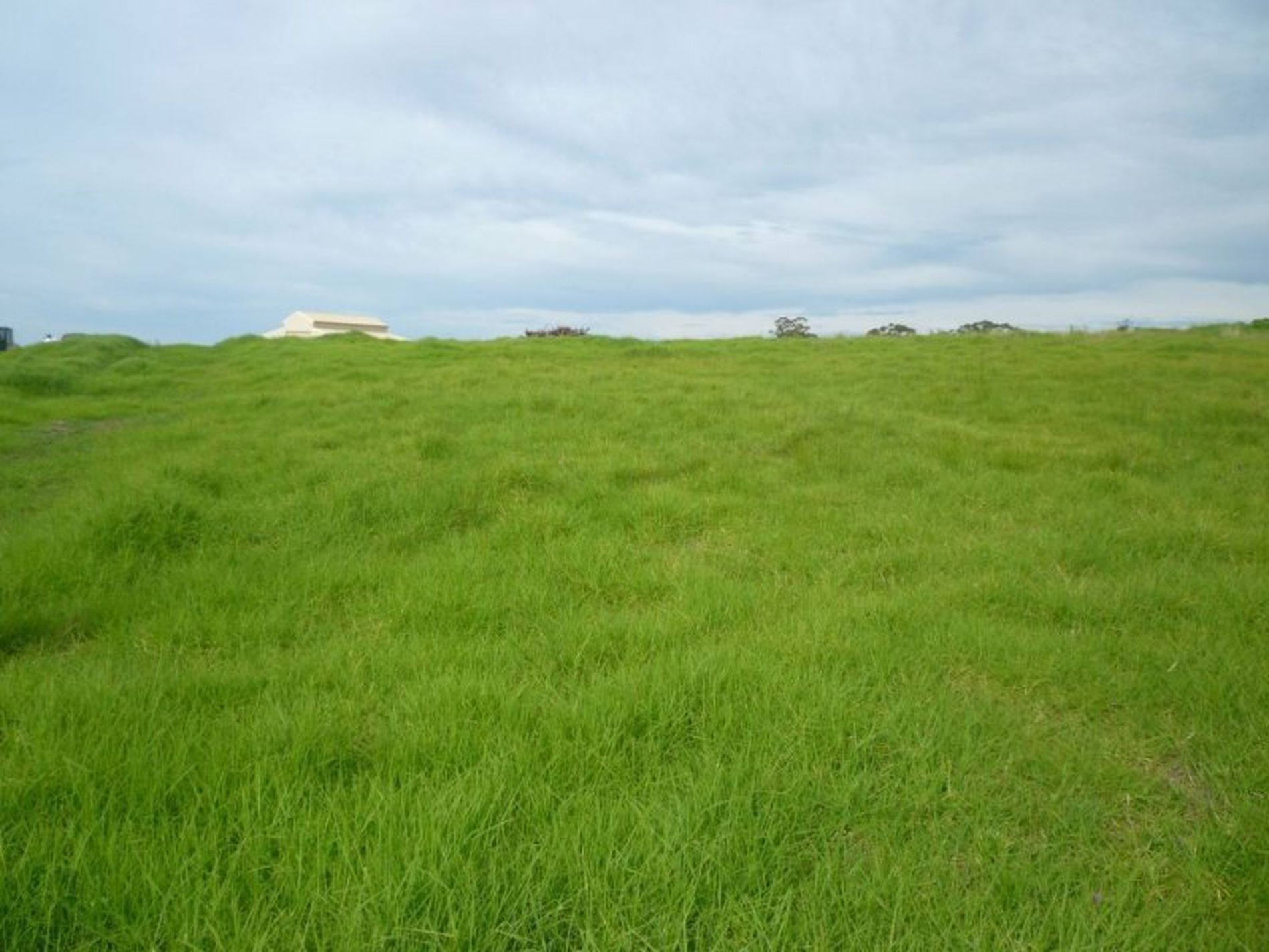 3 Graydons Pointer Road, Milton