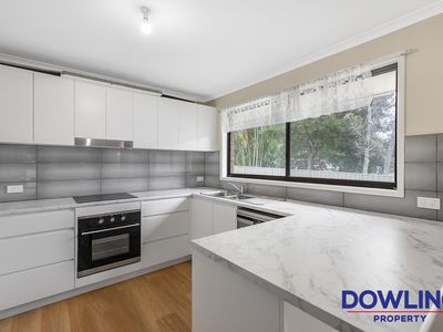 35 Kindlebark drive, Medowie