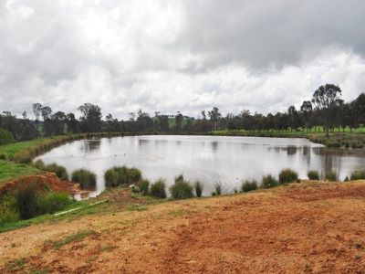 Beechworth-Wodonga Road, Wooragee