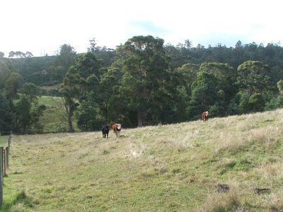 Lot 2, Woodbridge Hill Road, Gardners Bay