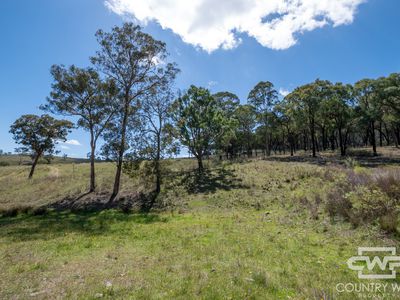 Lot 52, 2202 Wellington Vale Road, Emmaville