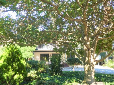 5 Scobie St South, Avenel