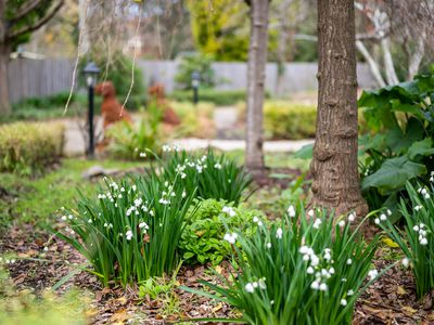 60 Centennial Road, Bowral
