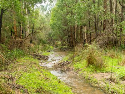 Steels Creek