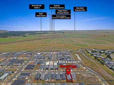18 Blackwood Place, Beveridge