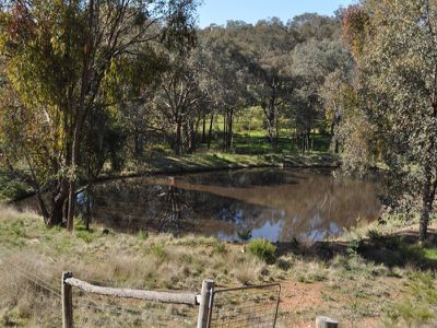 259 / Central Reserve Road, Ettamogah