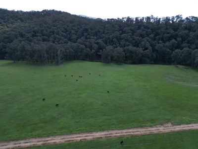 'Eastmore' 1177 Callaghan Creek Road, Mitta Mitta