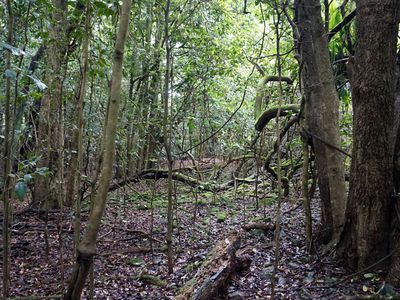 15 Old Kangaloon Road, Robertson