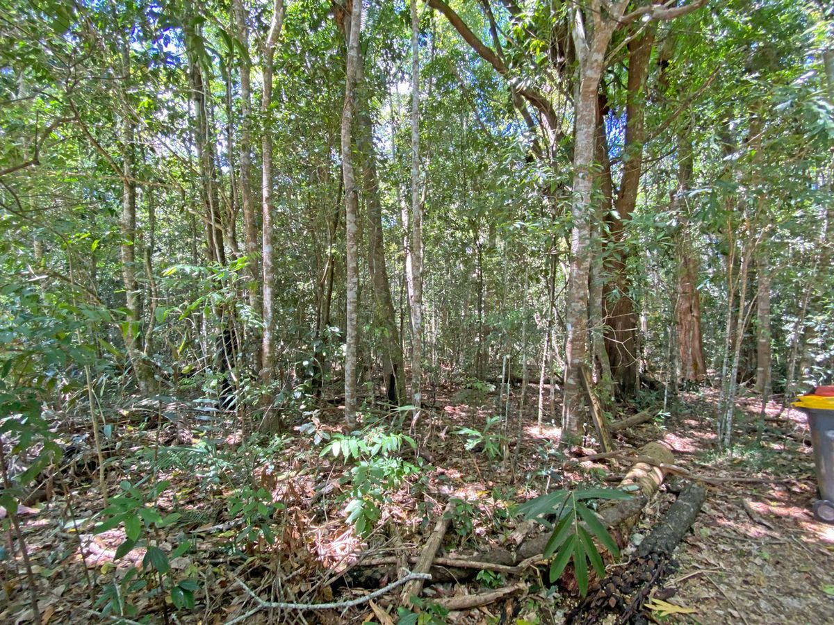 Lake Eacham
