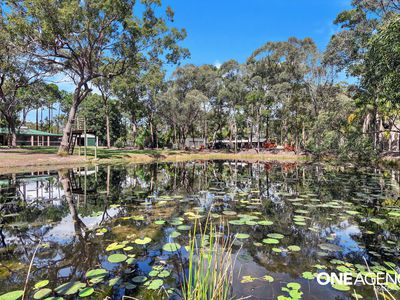 63 Dundowran Road, Walligan