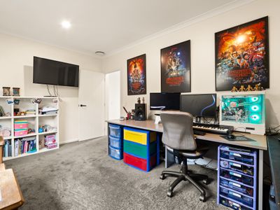 25 Kakapo Street, Saint Leonards