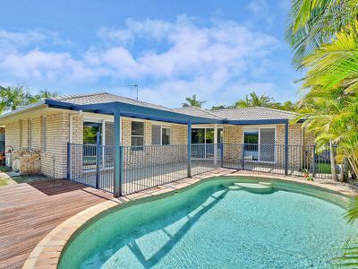 10 Satinwood Place, Mountain Creek