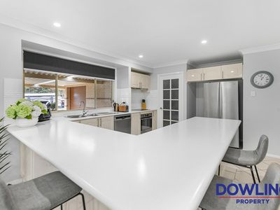 7 Osprey Circuit, Medowie