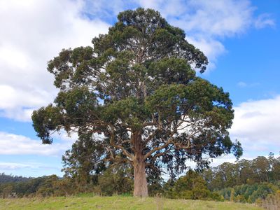 Lot 2 Huon Highway , Dover