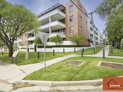 8 / 20 Eyre Street, Kingston