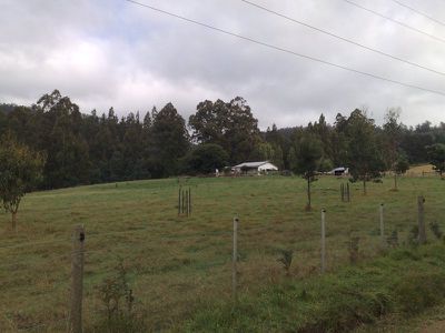 299 Swamp Road, Franklin