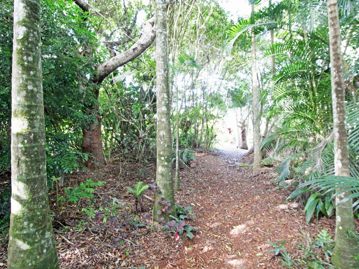 Lake Eacham