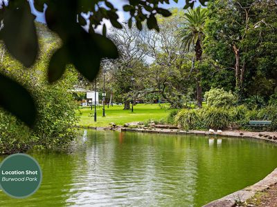 201 / 19 Burwood Road, Burwood