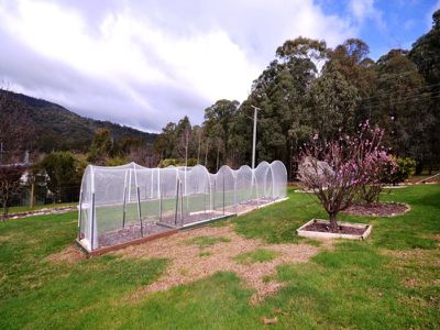 285 Simmonds Creek Road , Tawonga South