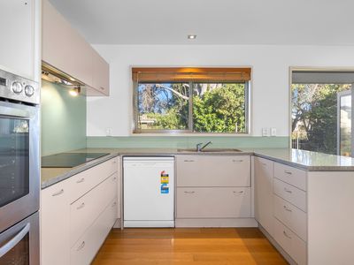 31A Kotare Street, Fendalton