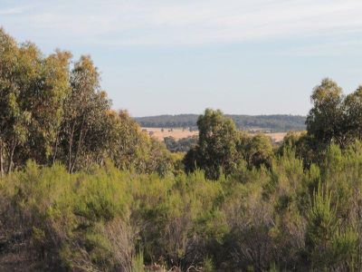 C / A S4 C/A S4 Hall Road, Heathcote