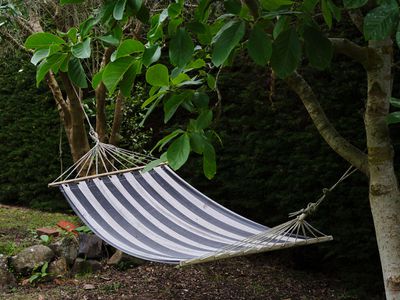 175 Gladstone Road, Dalmore