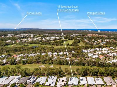 12 Sawgrass Court, Peregian Springs