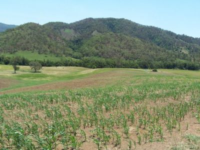 Conondale