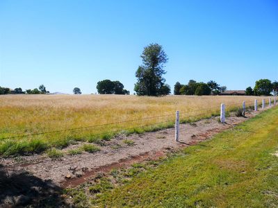 Kingaroy
