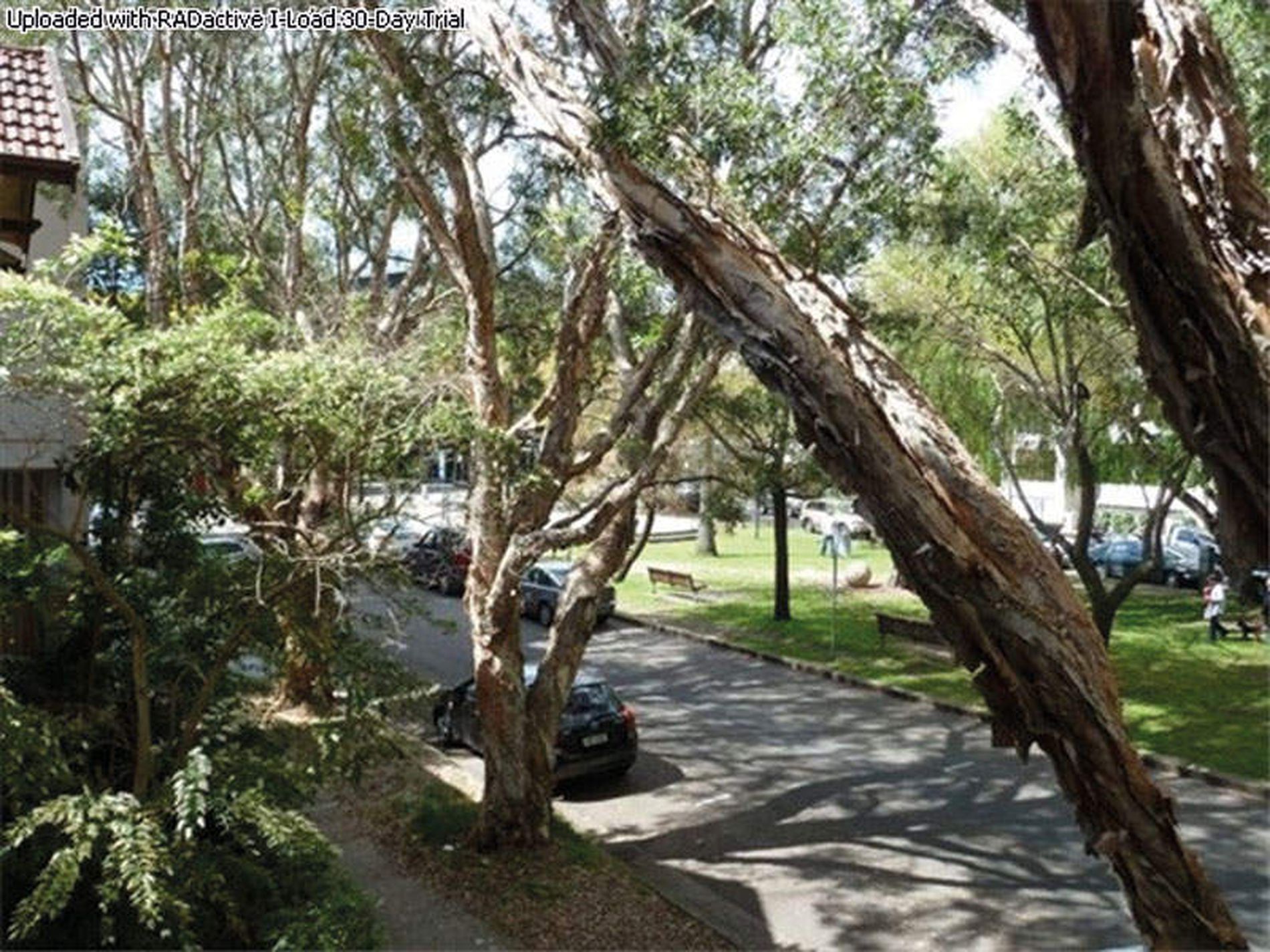 3 / 9 Guilfoyle Avenue, Double Bay