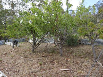 1834 Huon Highway, Grove