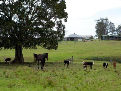 618 Half Chain Road, Koorainghat