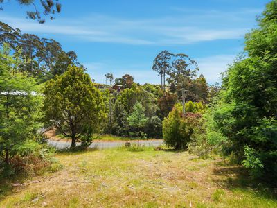 Lot 12, Esperance Coast Road, Dover
