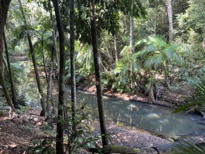 2583  Isabella McIvor Road , Cooktown