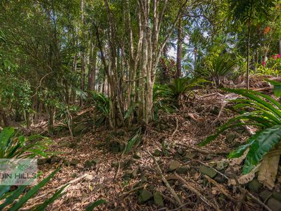 140 Tuntable Creek Road, The Channon