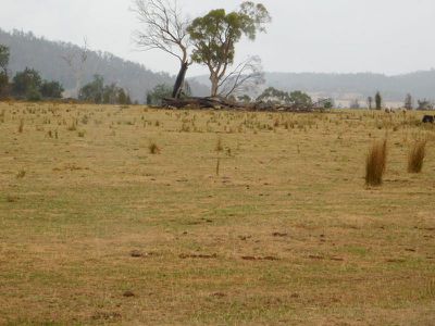 1422 Illawarra Road, Carrick