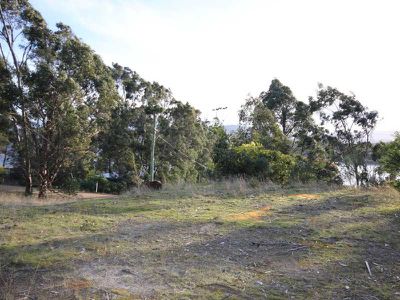 75 Williams Road, Randalls Bay