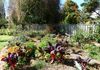 120 Anson Street,, Orange