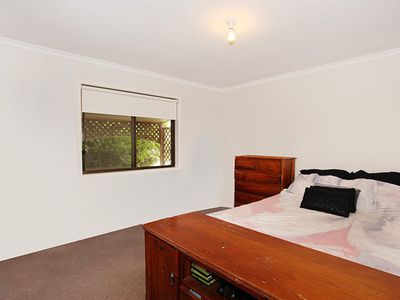 3 Litchie Street, Beerwah