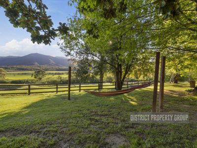 3165 Mansfield Woods Point Road, Jamieson