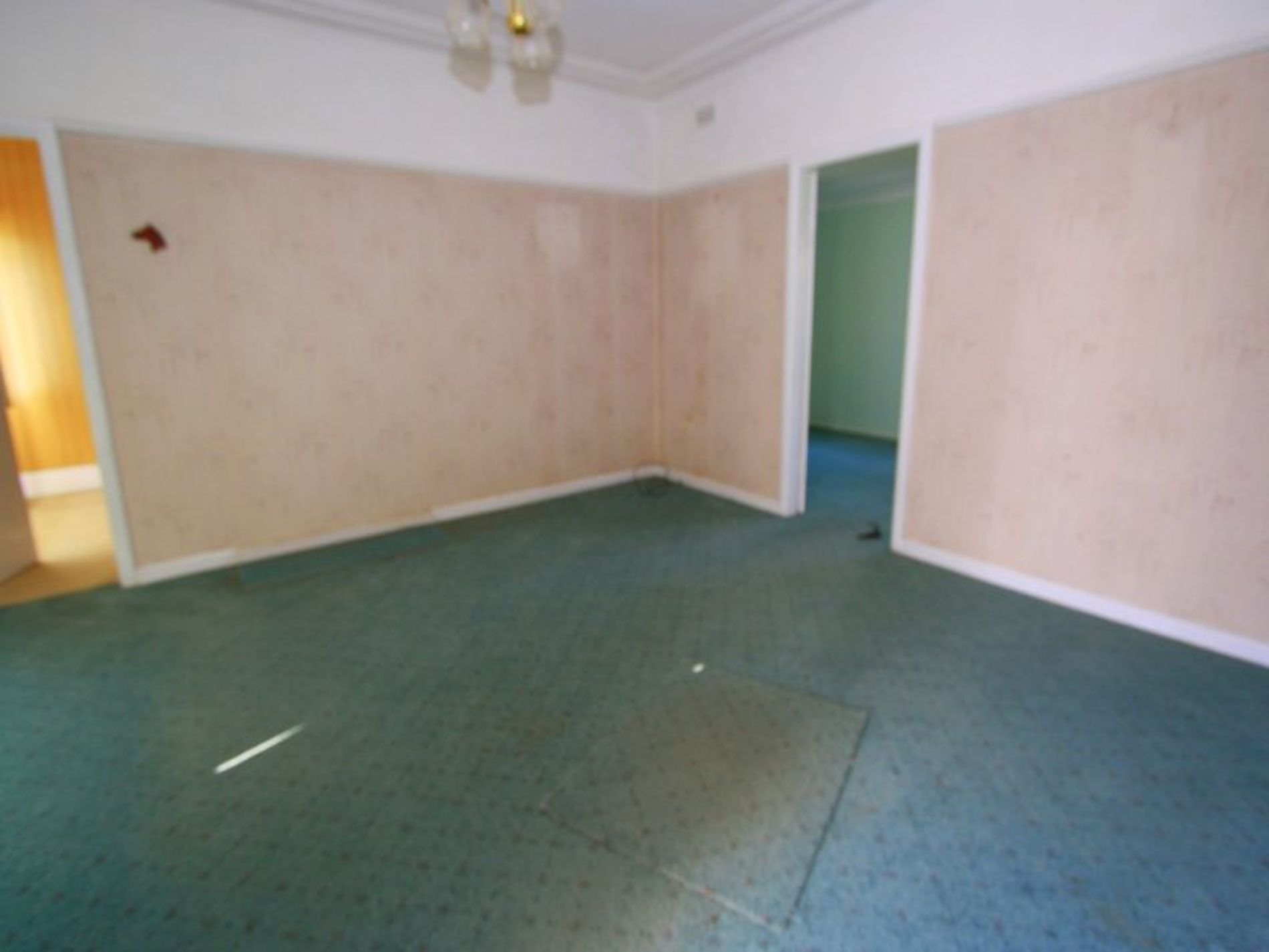 3 Ellis Street, Condell Park