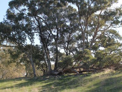 670 Spring Flat Road, Heathcote