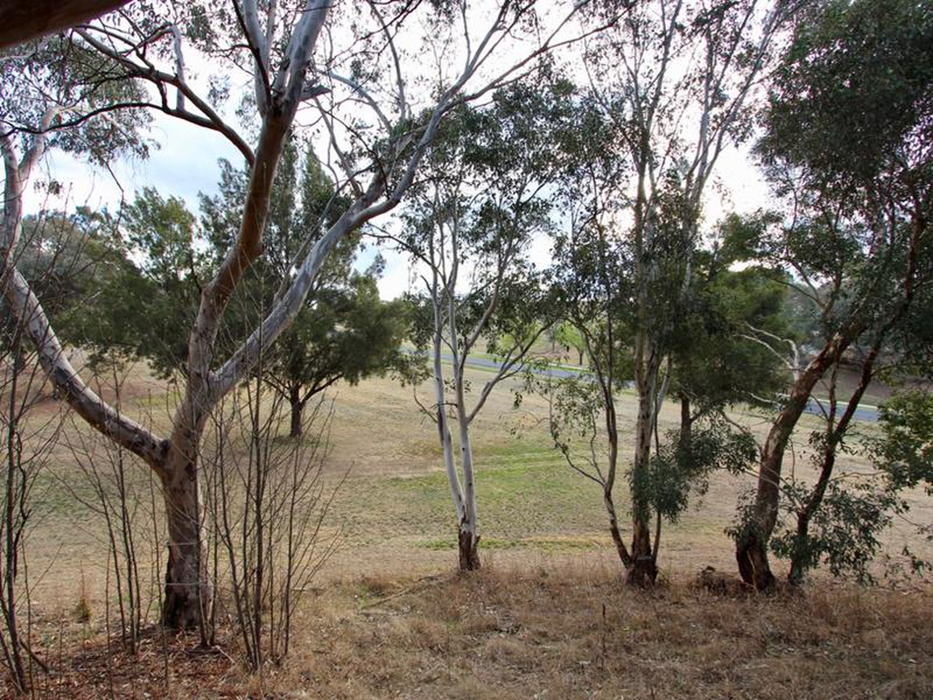 23 Kurumben Place, West Bathurst