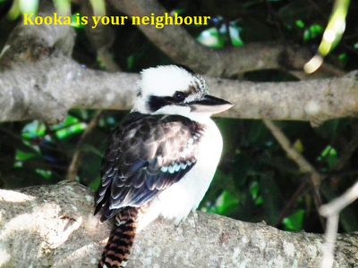 1 / 137 Sunset Boulevarde, Tweed Heads West