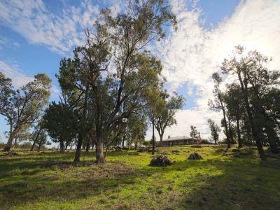 35R Buckhobble Road, Dubbo