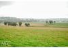 Lot 20 & 84 Henry Parkes Way, Manildra