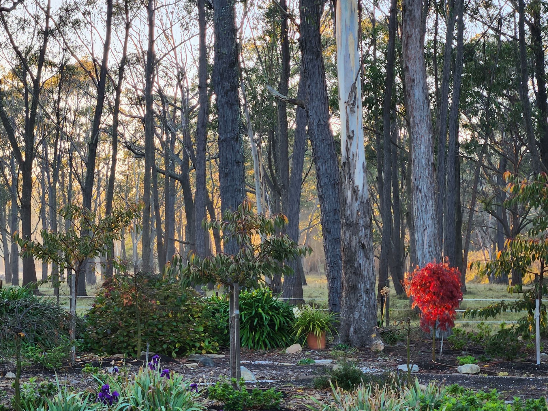 1261 Sheepwash Road, Fitzroy Falls