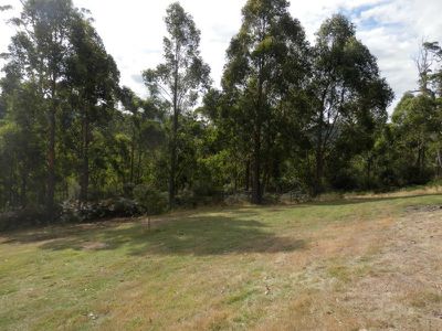 1205 Pelverata Road, Pelverata