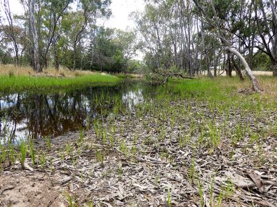 320 Tallarook-pyalong Rd, Tallarook
