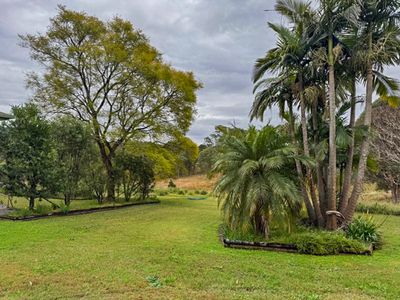 450 Bulga Road, Wingham